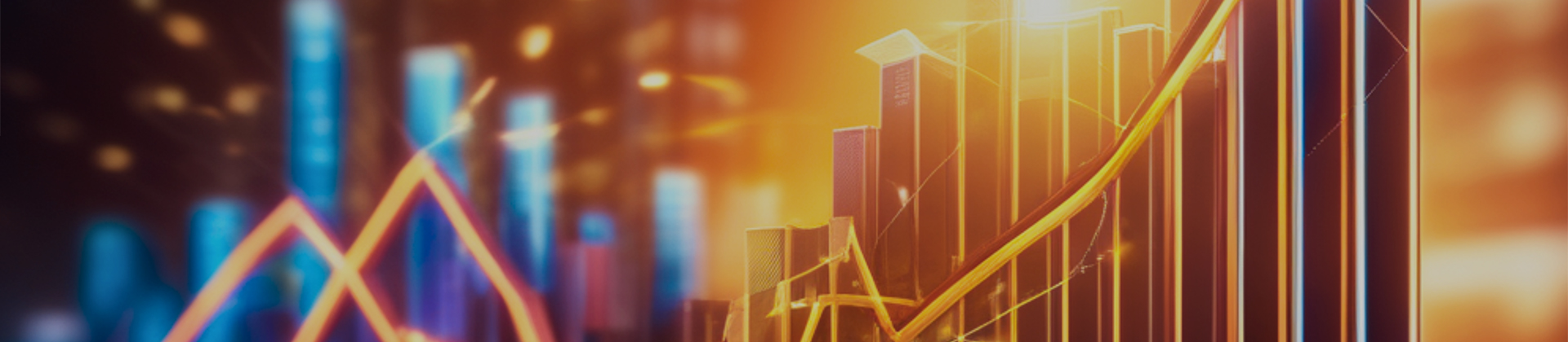 今年会金融投资