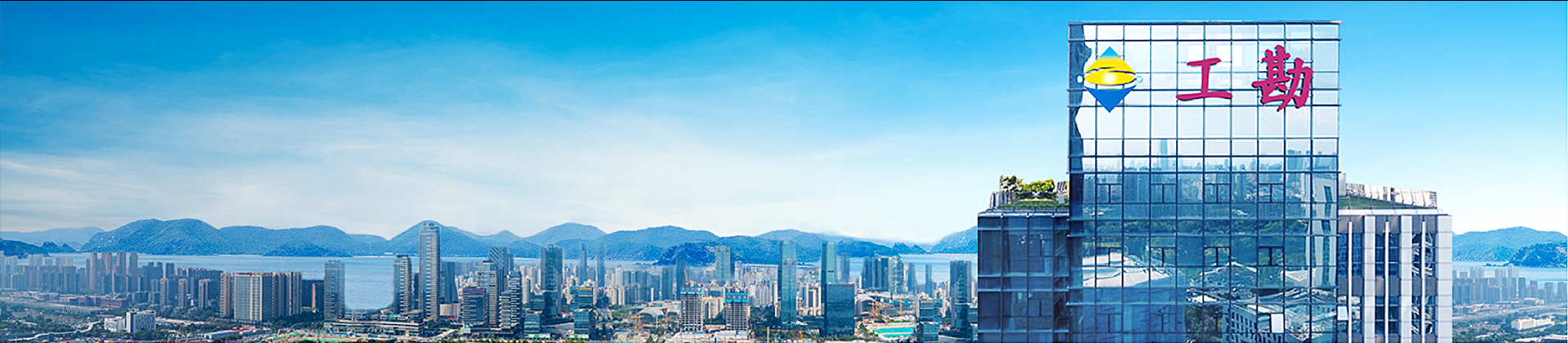 今年会关联企业